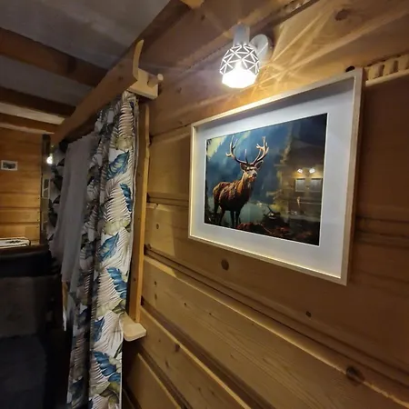 Apartament Leo Ciche Male